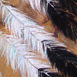 Close-up of Eagle feathers