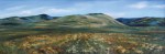 Medicine Wheel Big Horn Mountains